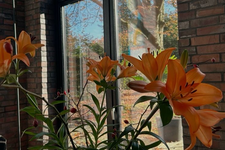 Tử vi vòng quay công nghệ ngày 26/4/2026: Tuổi Tý gặp khó khăn, tuổi Tỵ tin buồn tình cảm