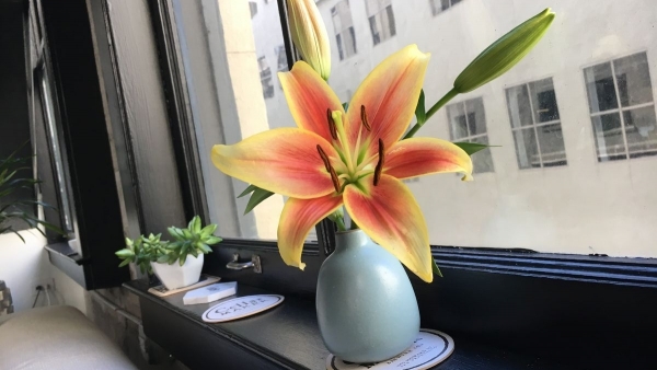 Tử vi vòng quay công nghệ ngày 26/4/2026: Tuổi Tý gặp khó khăn, tuổi Tỵ tin buồn tình cảm