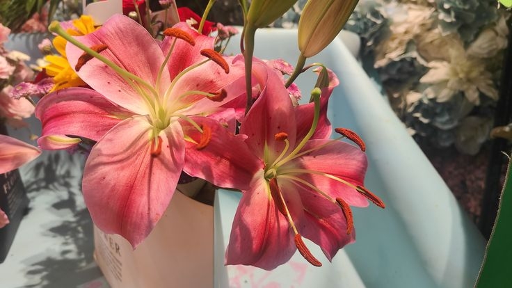 Tử vi vòng quay công nghệ ngày 26/4/2026: Tuổi Tý gặp khó khăn, tuổi Tỵ tin buồn tình cảm