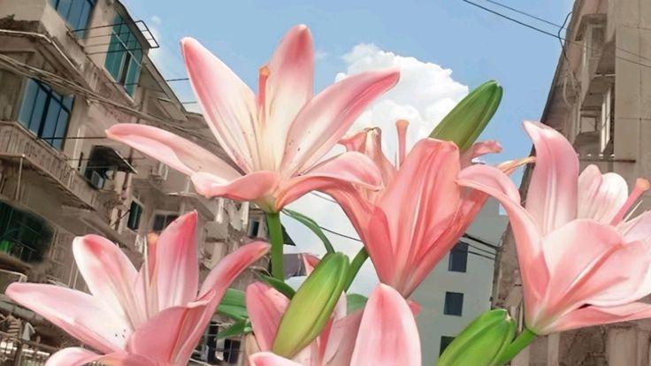 Tử vi vòng quay công nghệ ngày 28/4/2026: Tuổi Dậu tiến triển tốt đẹp, tuổi Sửu kẻ tiểu nhân xuất hiện