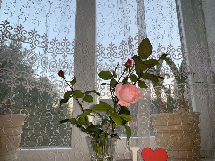 Tử vi vòng quay công nghệ ngày 29/4/2026: Tuổi Ngọ vô cùng bất ổn, tuổi Thân công việc trôi chảy