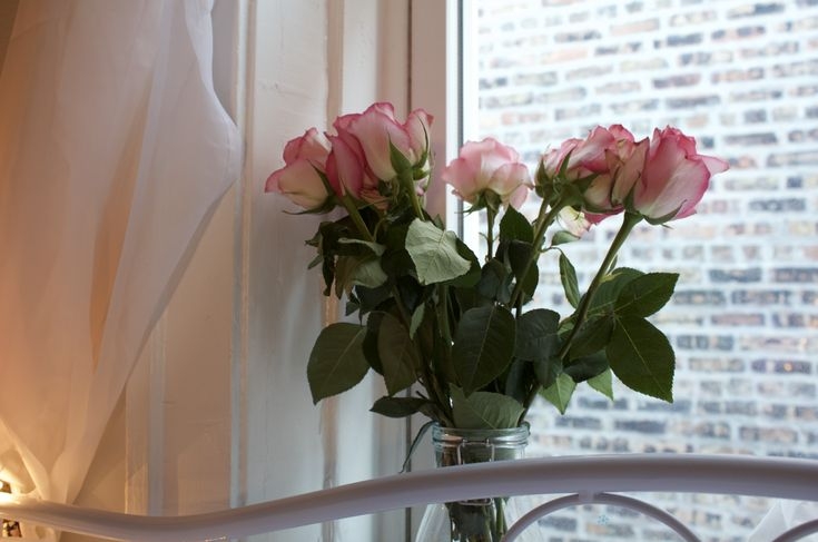 Tử vi vòng quay công nghệ ngày 29/4/2026: Tuổi Ngọ vô cùng bất ổn, tuổi Thân công việc trôi chảy