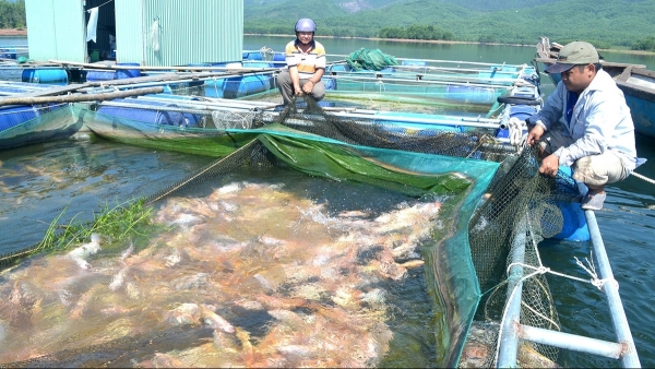 Đầu tư khoa học công nghệ giải quyết điểm nghẽn của ngành Thủy sản Việt Nam