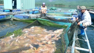 Đầu tư khoa học công nghệ giải quyết điểm nghẽn của ngành Thủy sản Việt Nam