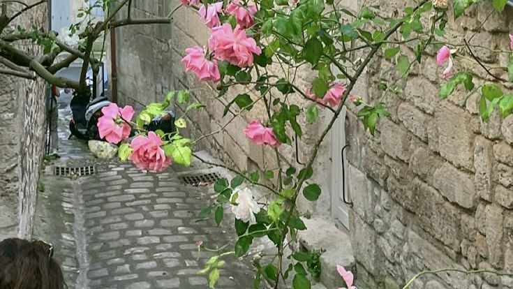 Tử vi vòng quay công nghệ ngày 11/5/2026: Tuổi Mão nguy cơ mất tiền, tuổi Tuất tài chính dồi dào