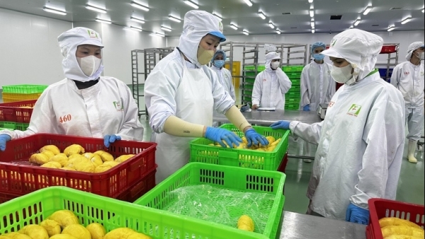 Khoa học, công nghệ là 'chìa khóa' chuyển đổi mô hình tăng trưởng nông nghiệp