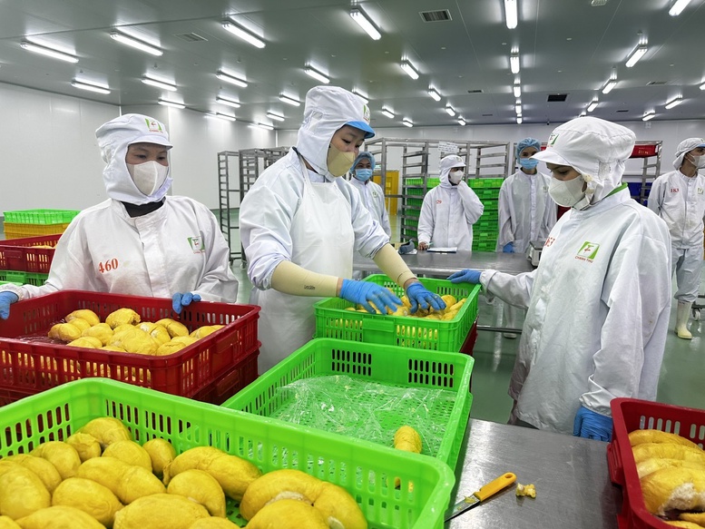 Khoa học, công nghệ là chìa khóa chuyển đổi mô hình tăng trưởng nông nghiệp