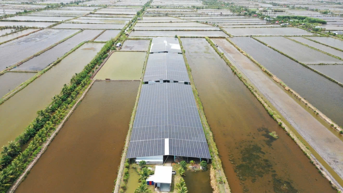 Techpal Group khánh thành dự án thu mua, chế biến nông sản công nghệ cao tại Cần Thơ