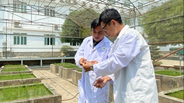 KHCN trong nông nghiệp: Chuyển từ tư duy 'làm đề tài' sang 'tạo sản phẩm'