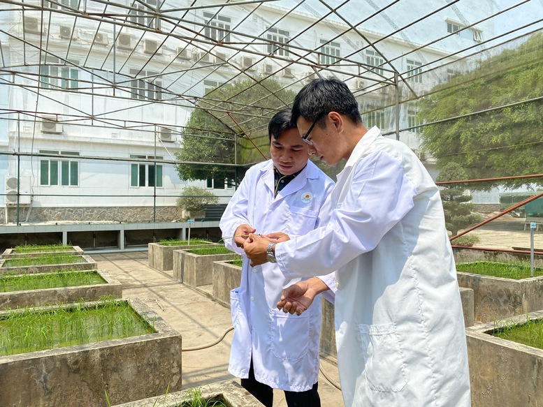 KHCN trong nông nghiệp: Chuyển từ tư duy làm đề tài sang tạo sản phẩm