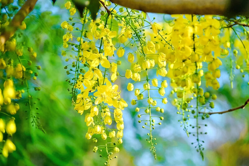 Tử vi vòng quay công nghệ ngày 3/6/2026: Tuổi Tuất đón vận may, tuổi Thân cần thận trọng