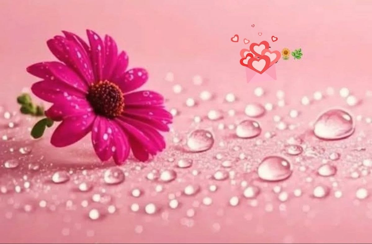 Tử vi vòng quay công nghệ ngày 19/6/2026: Tuổi Dậu đón cơ hội tài lộc, tuổi Thìn công việc thăng hoa