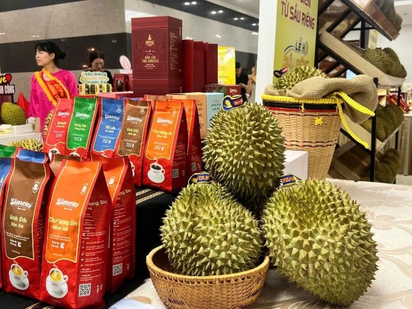 Đắk Lắk lần đầu tổ chức Lễ hội Sầu riêng cấp tỉnh, hướng tới xác lập nhiều kỷ lục thế giới