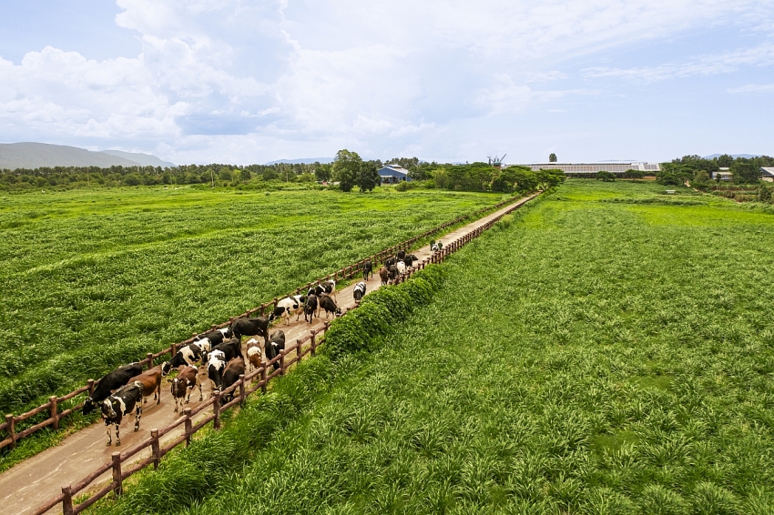 Vinamilk: Khi chất lượng sản phẩm trở thành đạo đức nghề nghiệp