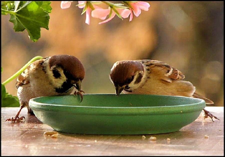 Tử vi vòng quay công nghệ ngày 29/7/2026: Tuổi Dậu đón lộc sự nghiệp, tuổi Dần cần giữ bình tĩnh trước thử thách