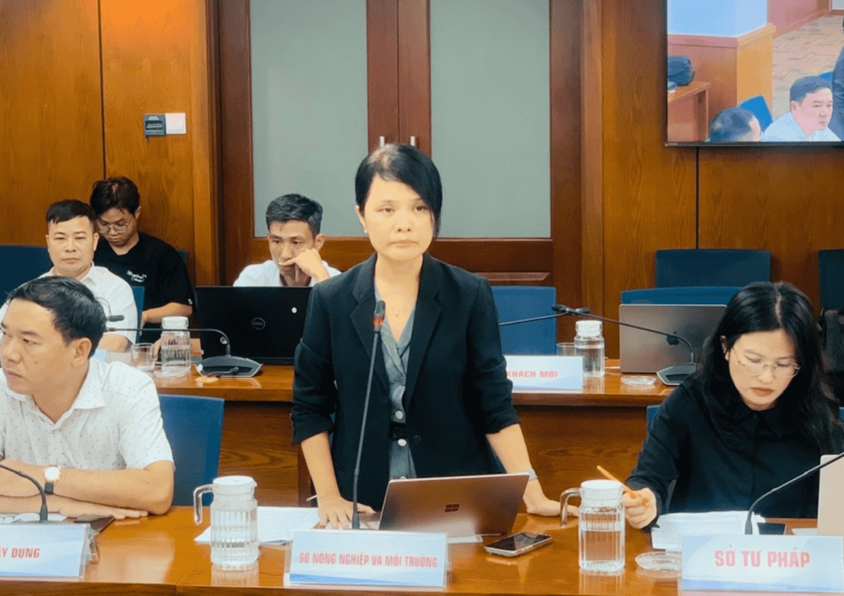 Bà Ngô Nguyễn Ngọc Thanh - Trưởng Phòng Khí tượng Thủy văn và Biến đổi khí hậu (Sở Nông nghiệp và Môi trường) phát biểu