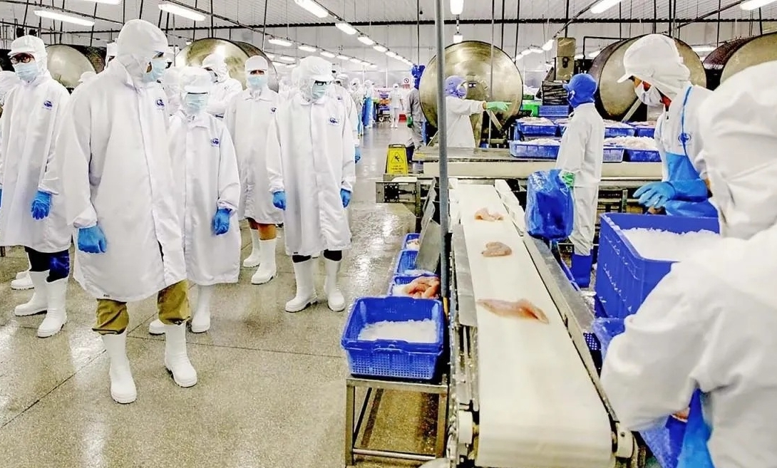 Doanh thu Vĩnh Hoàn tháng 7/2026: Xuất khẩu sang Trung Quốc tăng mạnh 80%