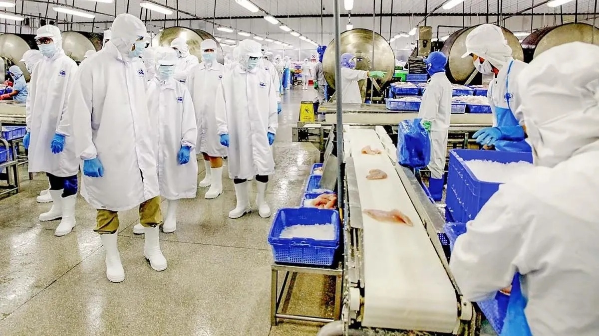 Doanh thu Vĩnh Hoàn tháng 7/2026: Xuất khẩu sang Trung Quốc tăng mạnh 80%