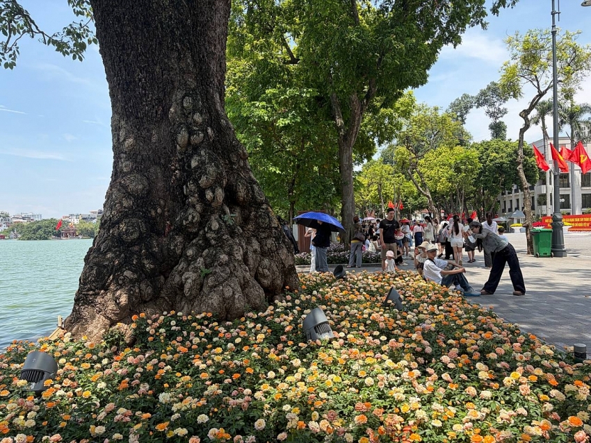 Người dân Hà Nội đội nắng tham quan Nhà tù Hỏa Lò, ra Hồ Gươm check-in giữa rừng hoa dịp 2/9