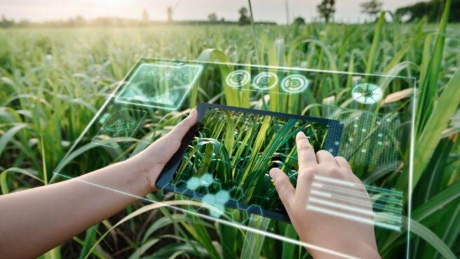 Đưa AI đến gần hơn với bài toán thực tế của nông nghiệp
