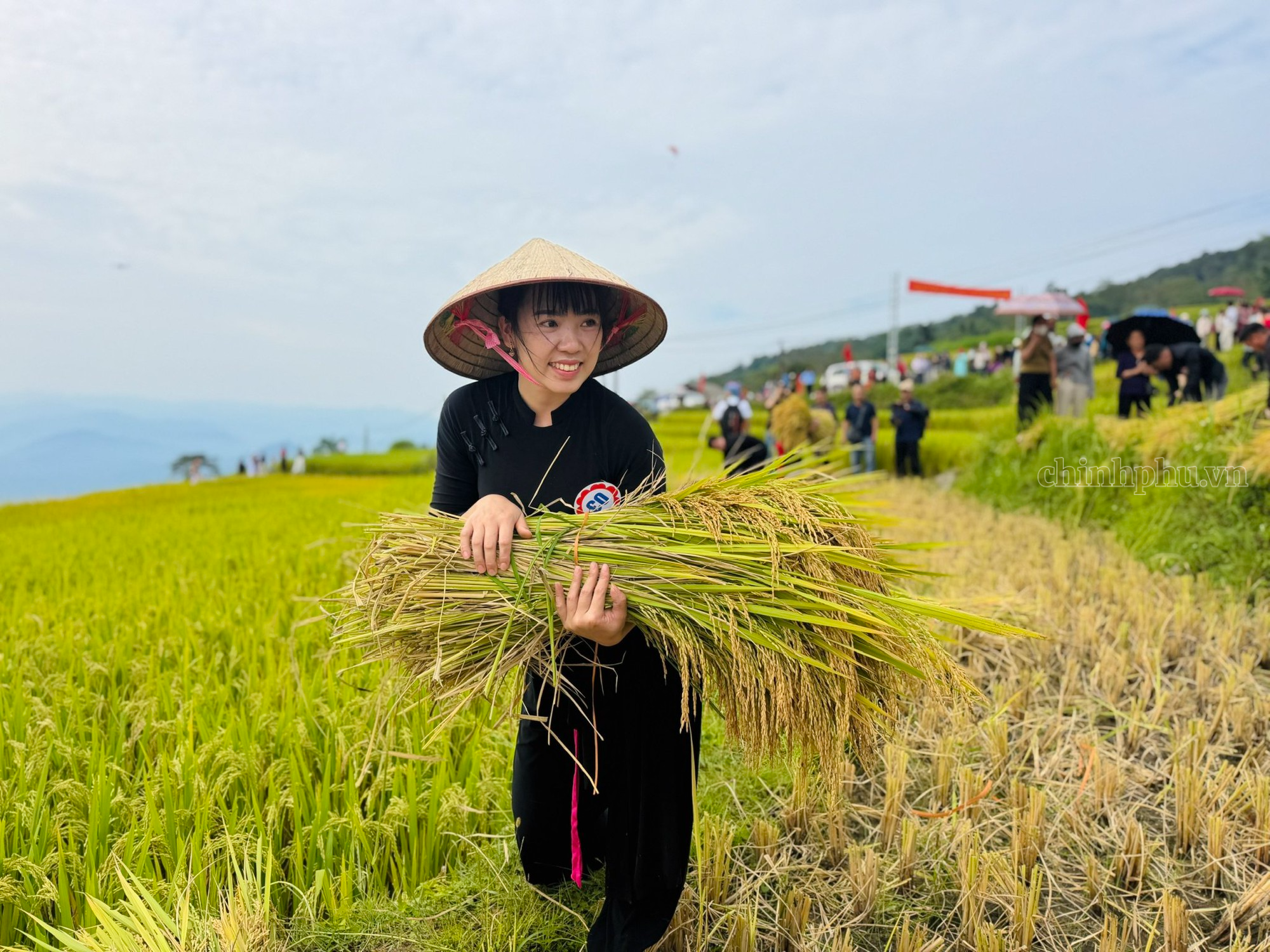 Mùa vàng gọi khách, Hồng Thái tìm hướng phát triển du lịch bốn mùa