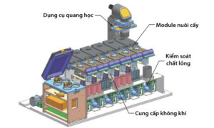 bao mau ai cham soc thai nhi trong tu cung nhan tao