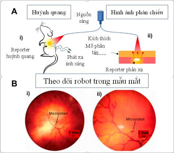 cac ki thuat hinh anh ung dung cho micronano robot y te