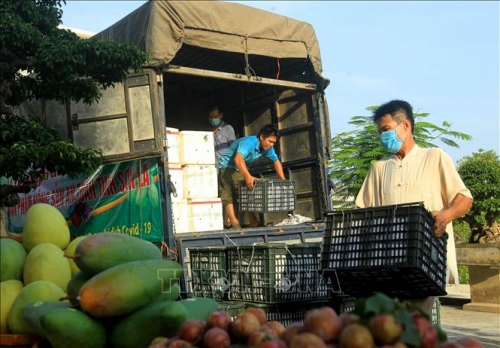 Chính Phủ chỉ đạo tháo gỡ khó khăn vướng mắc trong vận chuyển hàng hóa