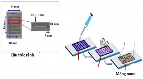 Đại học Công nghệ chế tạo cảm biến phát hiện amoniac trong 30 giây