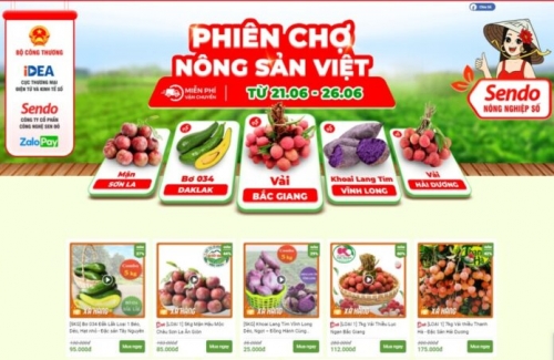 Hộ nông dân đẩy mạnh tiêu thụ sản phẩm trên Siêu thị nông sản Việt trực tuyến