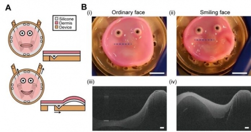 Robot có thể nở nụ cười như con người