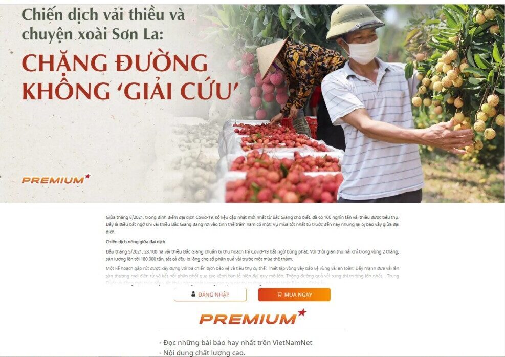 vietnamnet thu phi doc bao tren chuyen muc vietnamnet premium