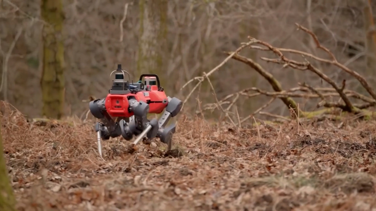 Robot bốn chân giúp các nhà khoa học Oxford lập bản đồ 3D và theo dõi sức khỏe rừng