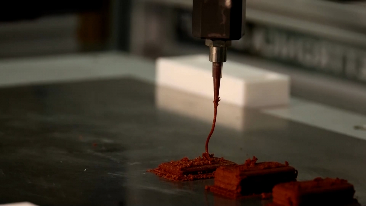 Italy thử nghiệm công nghệ thực phẩm bền vững và giàu dinh dưỡng