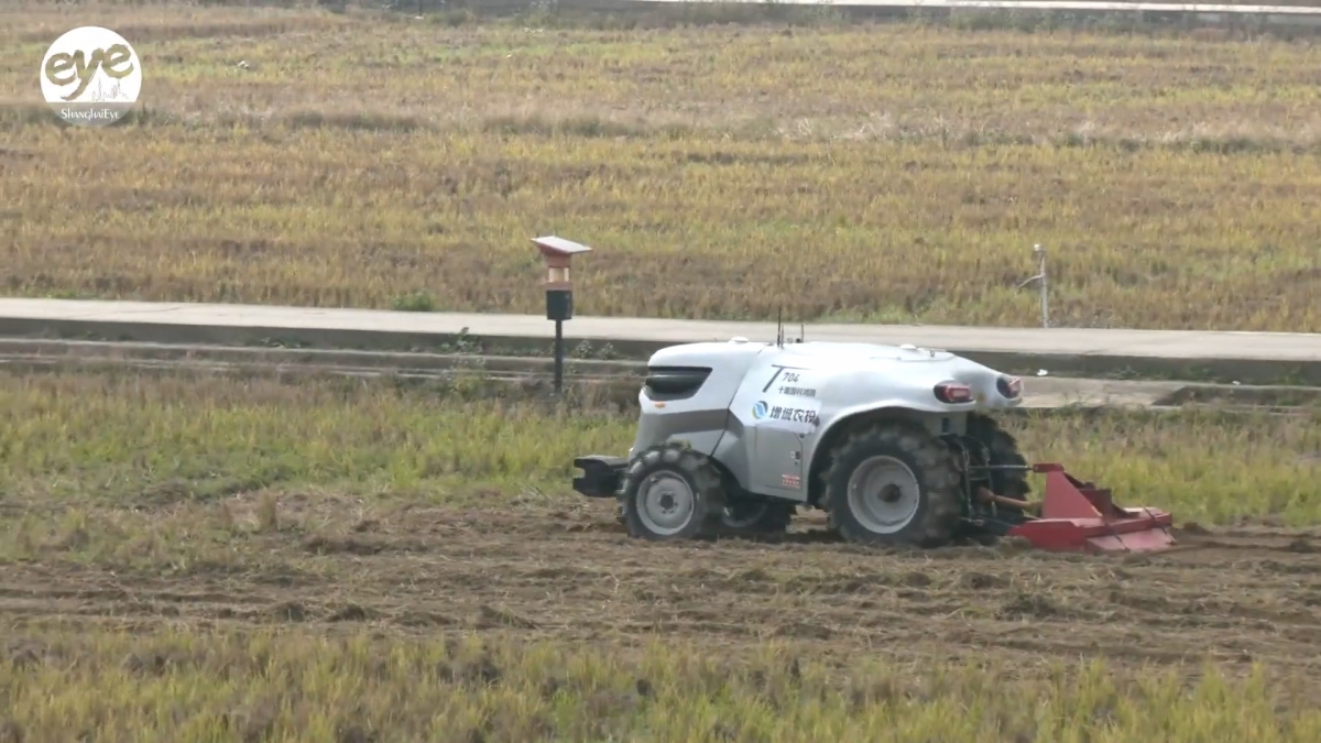 Ai trong nông nghiệp thông minh đang làm thay đổi cách canh tác