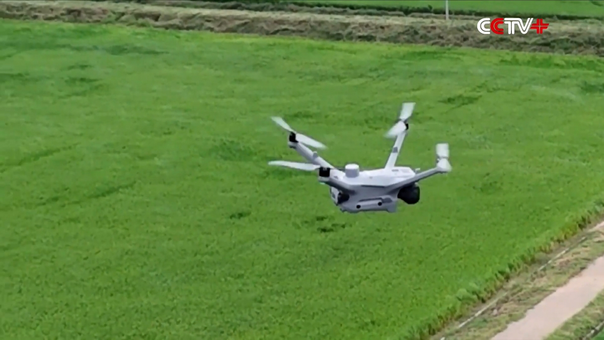 Drone và công nghệ thông minh thu thập dữ liệu quan trọng phục vụ canh tác lúa